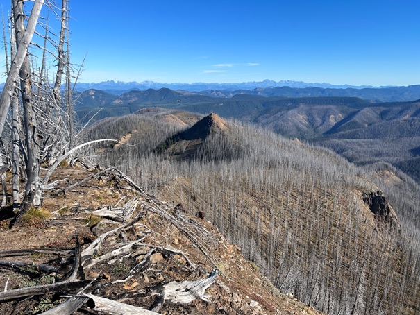 norse peak wilderness