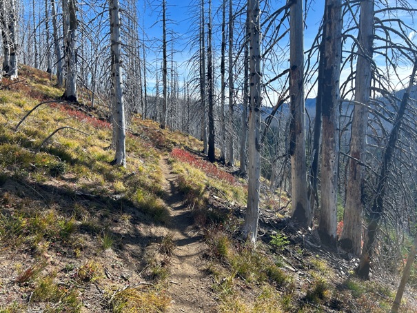 Corral Pass 