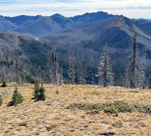 Corral Pass