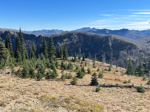 fifes peaks