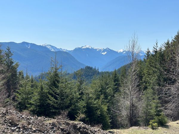 huckleberry ridge