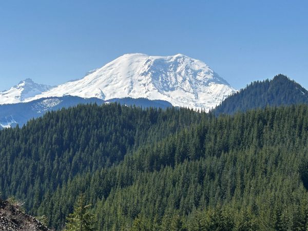 Mt. Rainier 