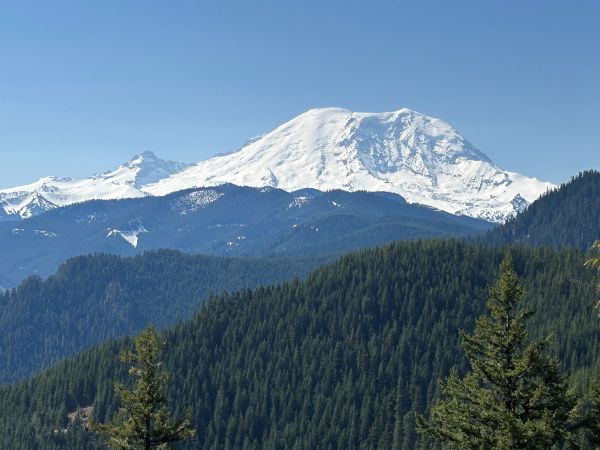 Mt. Rainier 