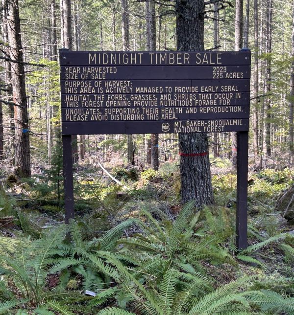 midnight timber sale