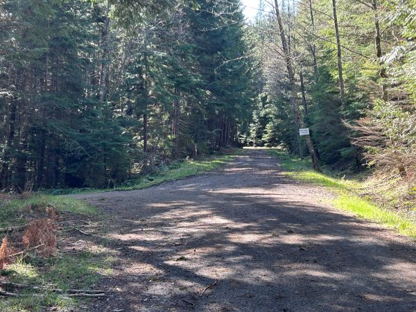midnight creek road