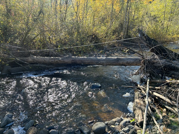 Scatter Creek 