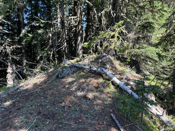 Whistler Creek Peak 
