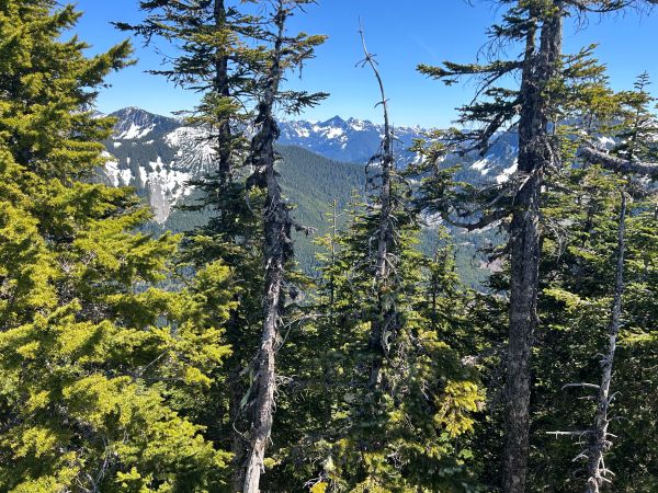 dirtybox peak