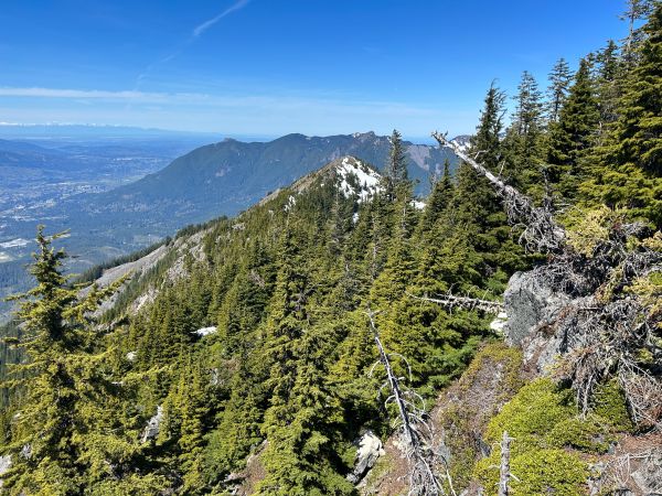 dirtybox peak