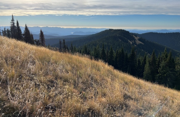 grassy top mountain