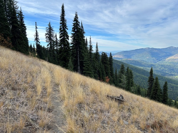 grassy top mountain