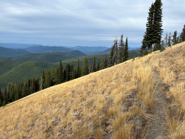 grassy top mountain