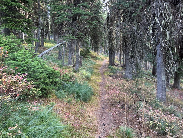 grassy top mountain