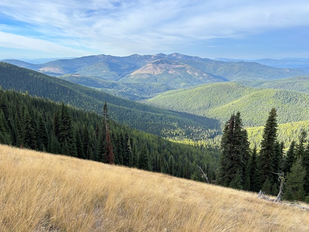 Molybdenite Mountain