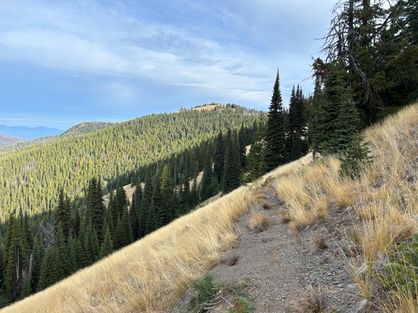 Grassy Top Mountain