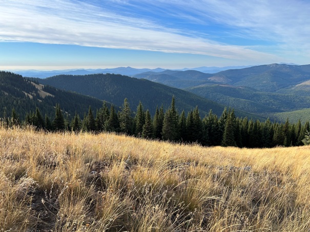 Grassy Top Mountain