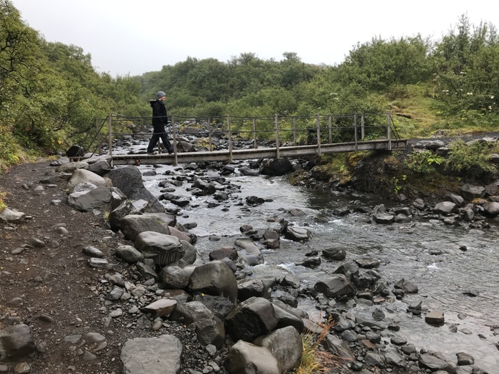 Svartifoss Falls