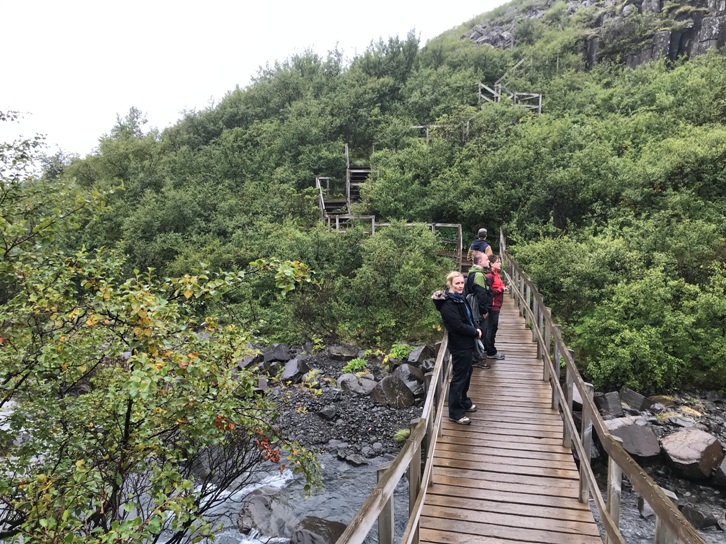 Svartifoss Falls