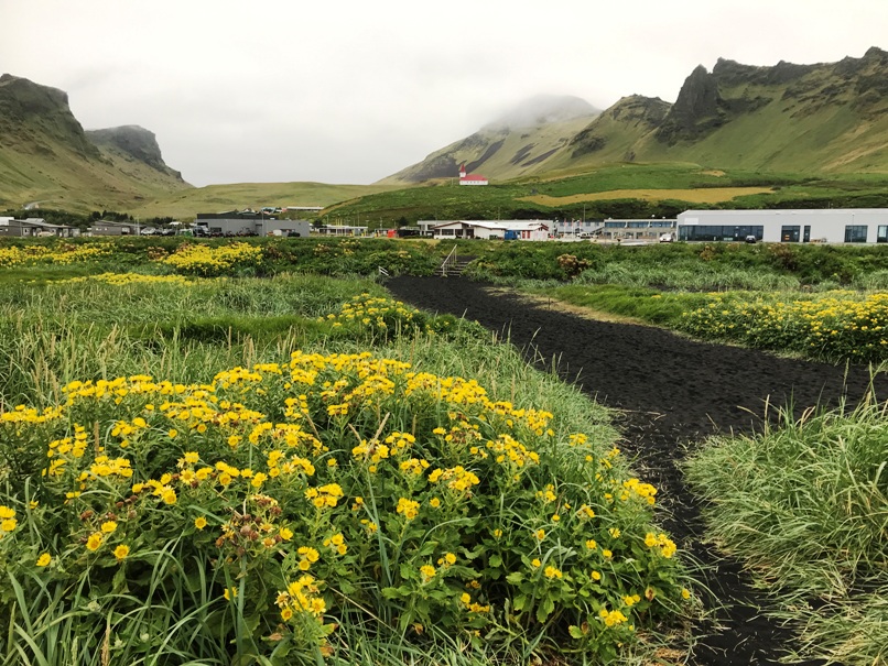 vik iceland