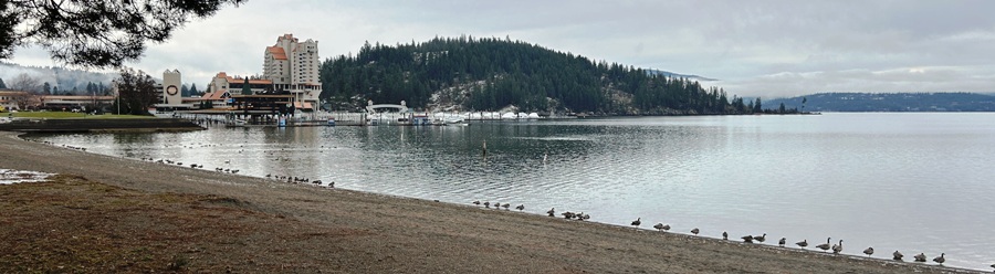 City Park Beach 