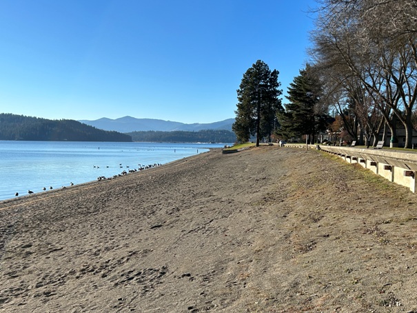 City Park Beach