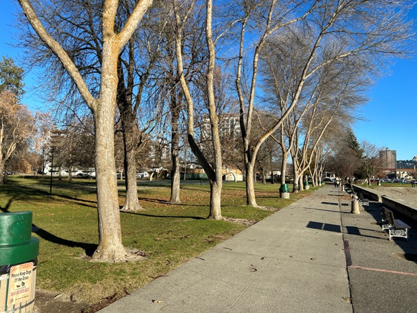 City Park 