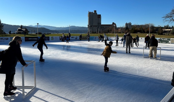 Ice Skate 