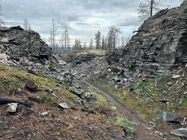 post falls community forest