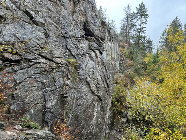 post falls community forest