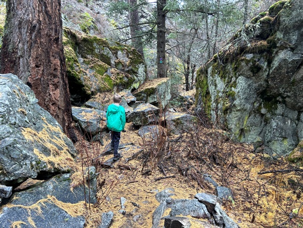 post falls community forest