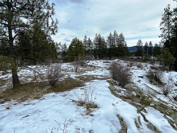 Treaty Rock Park 