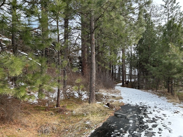 Treaty Rock Park 