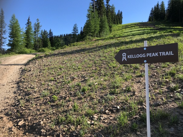 Kellogg Peak