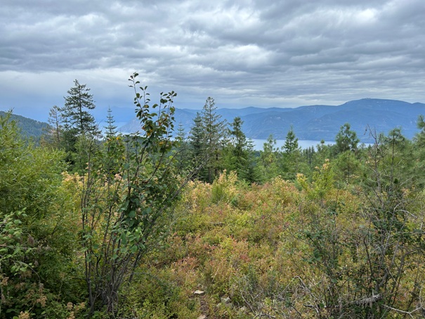 Little Blacktail Mountain