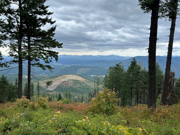 Little Blacktail Mountain