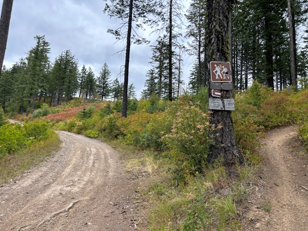 Little Blacktail Mountain