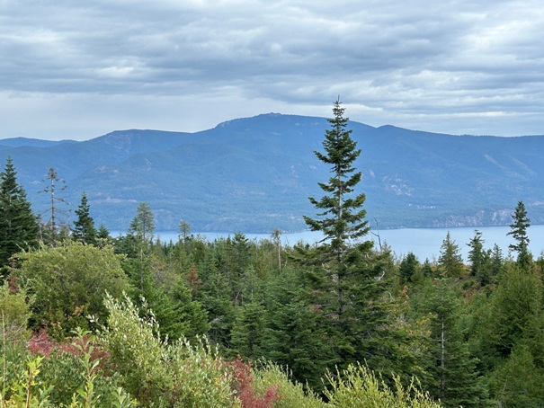 Packsaddle Mountain