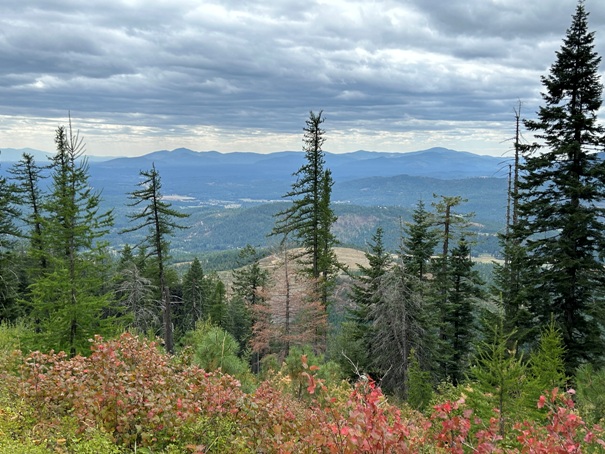 Little Blacktail Mountain