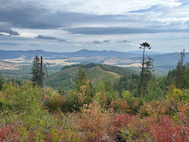 mineral mountain