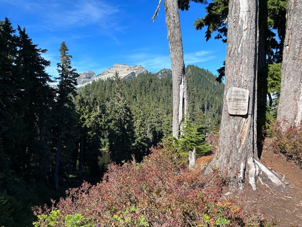 William O. Douglas Wilderness