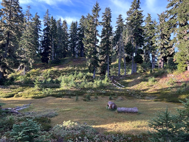 Blanca Lake 