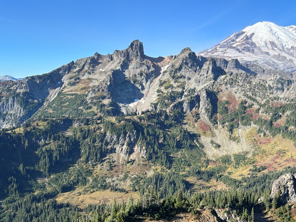 Cowlitz Chimneys