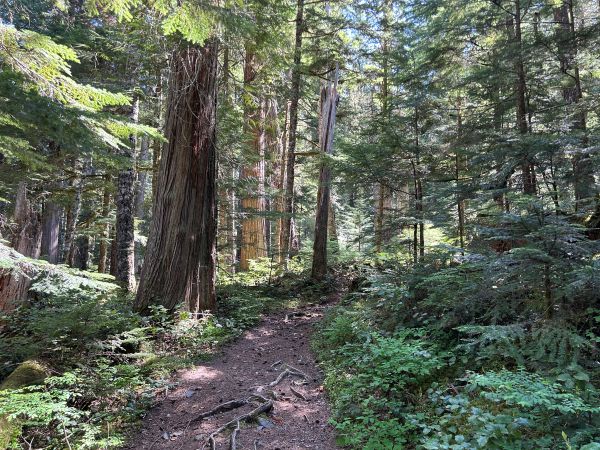 eagle peak trail