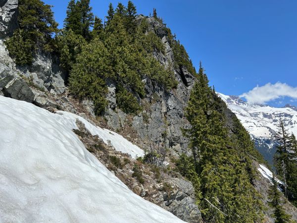 Mt. Rainier