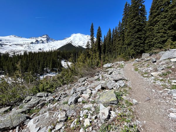 mount rainier