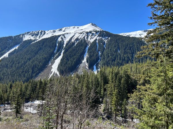 mount rainier