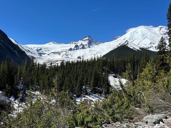 mount rainier