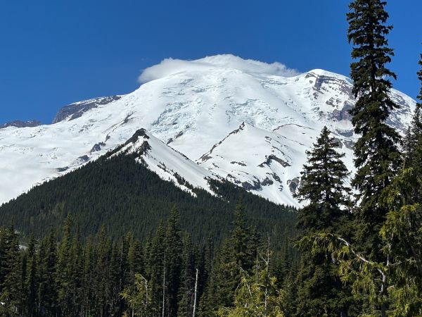 mount rainier