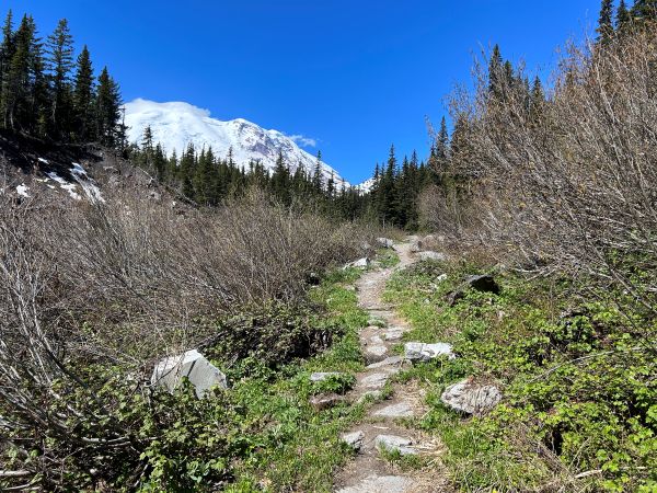 glacier basin