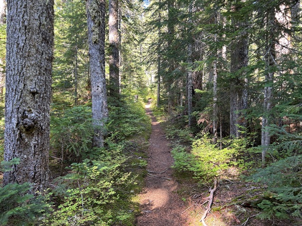 Owyhigh Lakes Trail